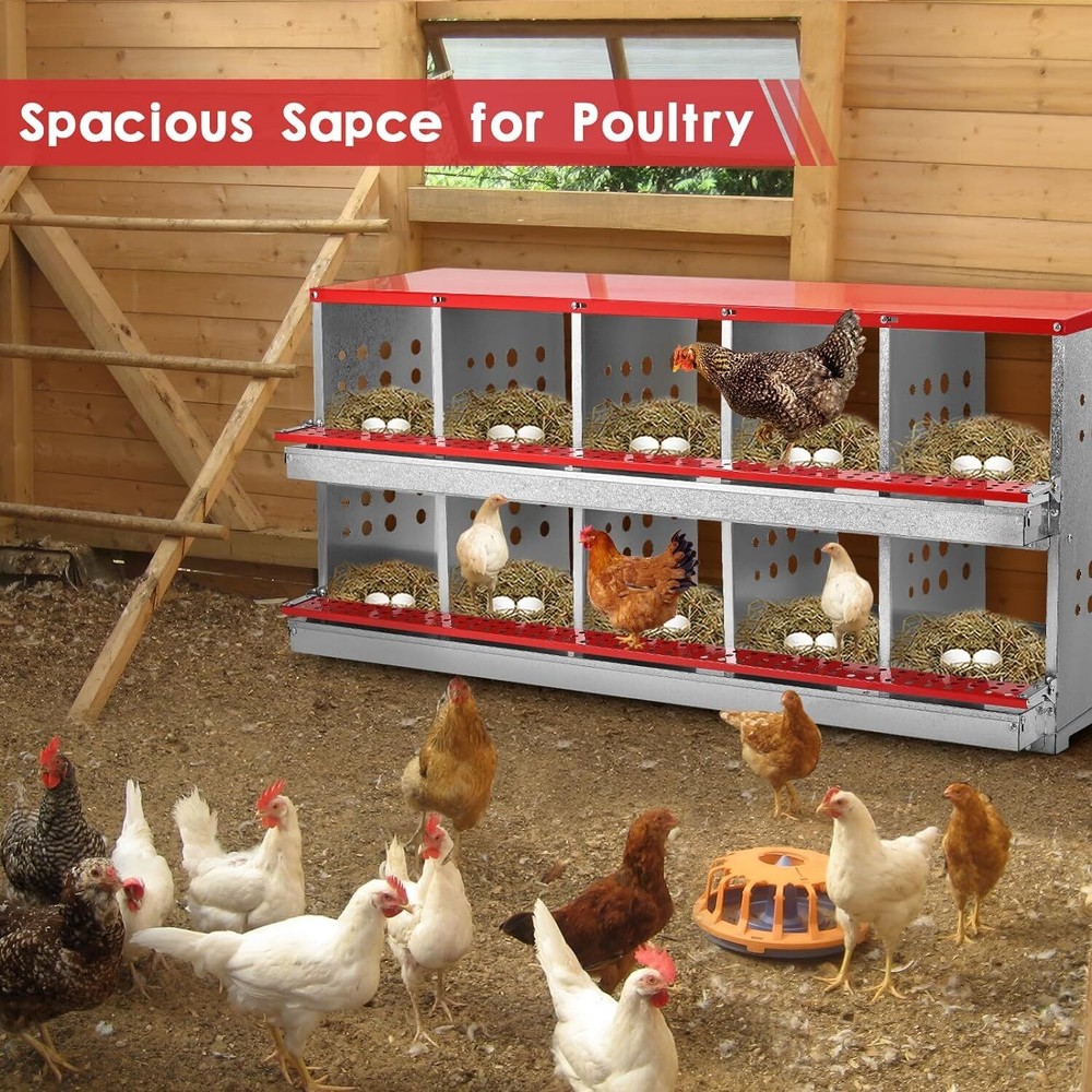 10Hole Chicken Nesting Boxes Metal Egg Laying Brooding Box With Vent Hole Set