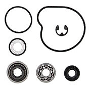 Vertex Water Pump Rebuild Kit | 821928