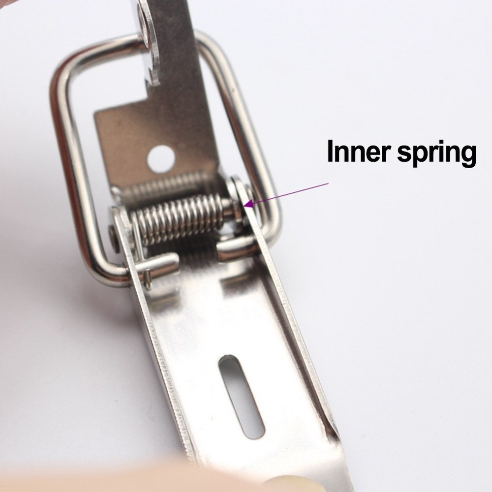 4 Pcs Stainless Steel Spring Clamp Latch for Toggle Mounting on Case Boxes