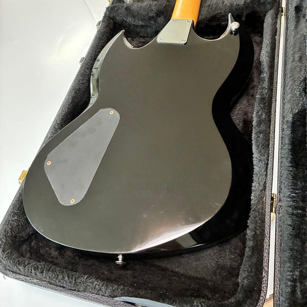 Model Grassroots by ESP Grassroots Viper Safe Packing!