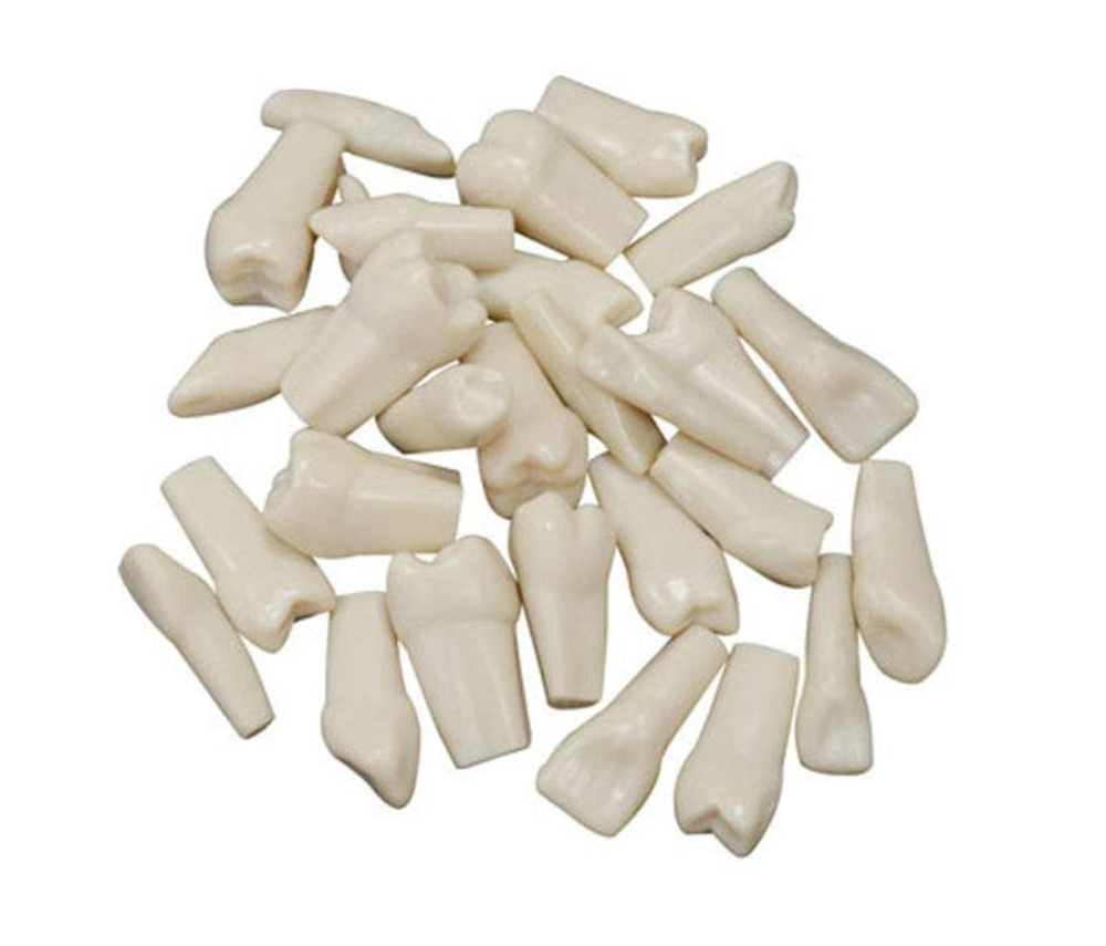 32pcs Removable Teeth Piece for Typodont Teeth Model Compatible with Kilgore Nis
