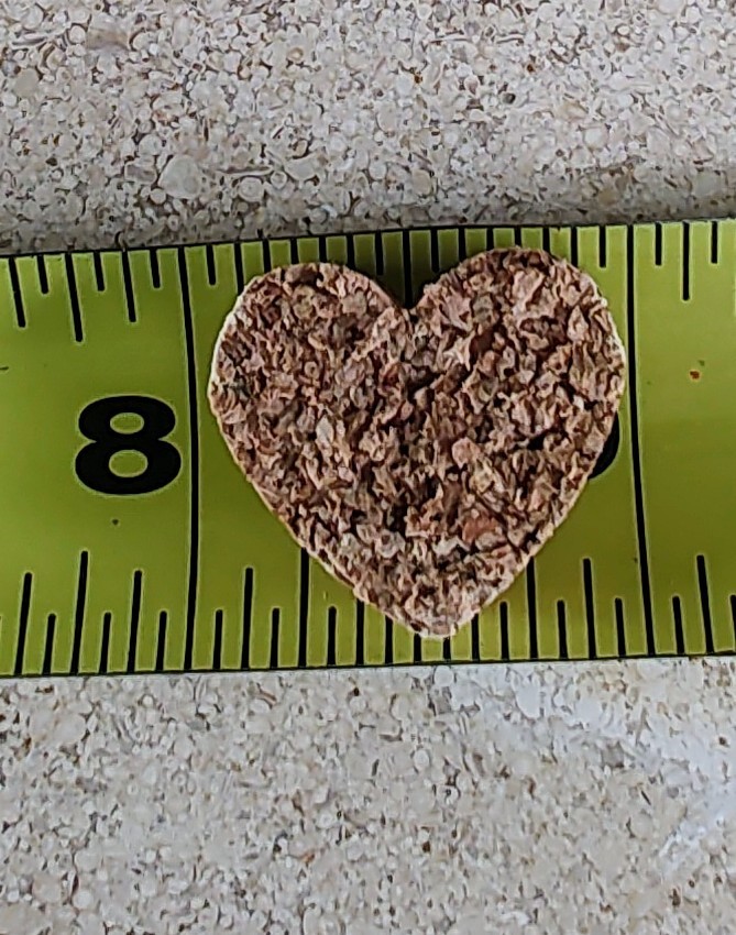 Pre-Cut Wine Corks - Heart Shaped (250+)