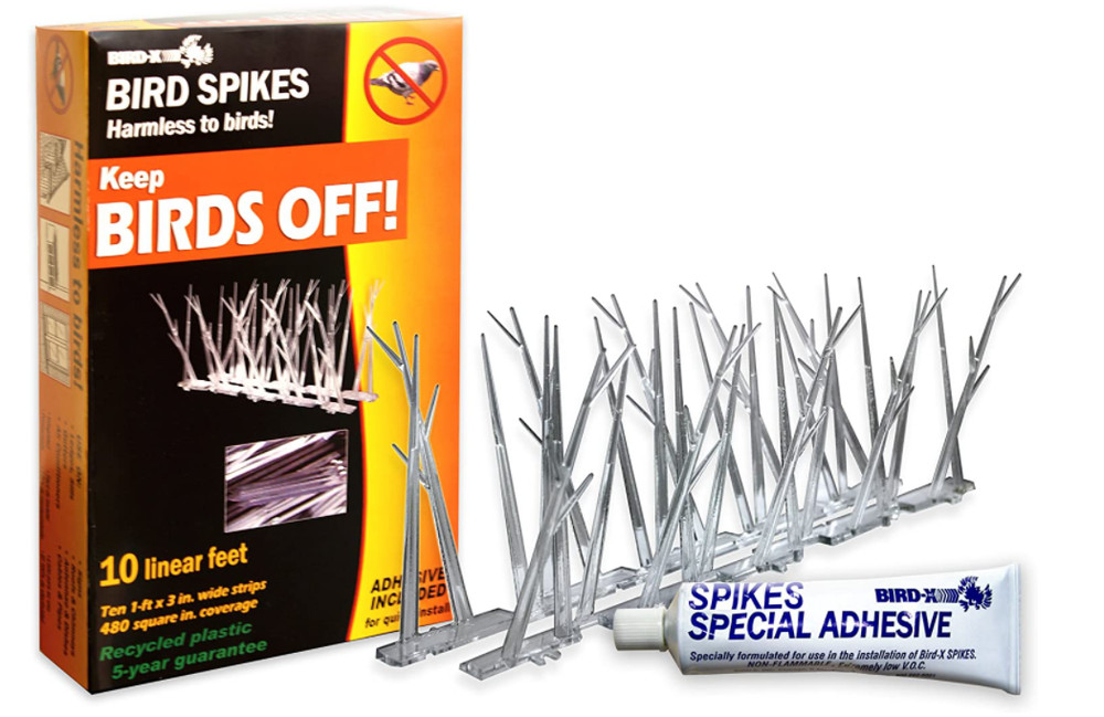 Bird-X Plastic Polycarbonate Bird Spikes Kit Adhesive Glue Covers 10ft Coverage