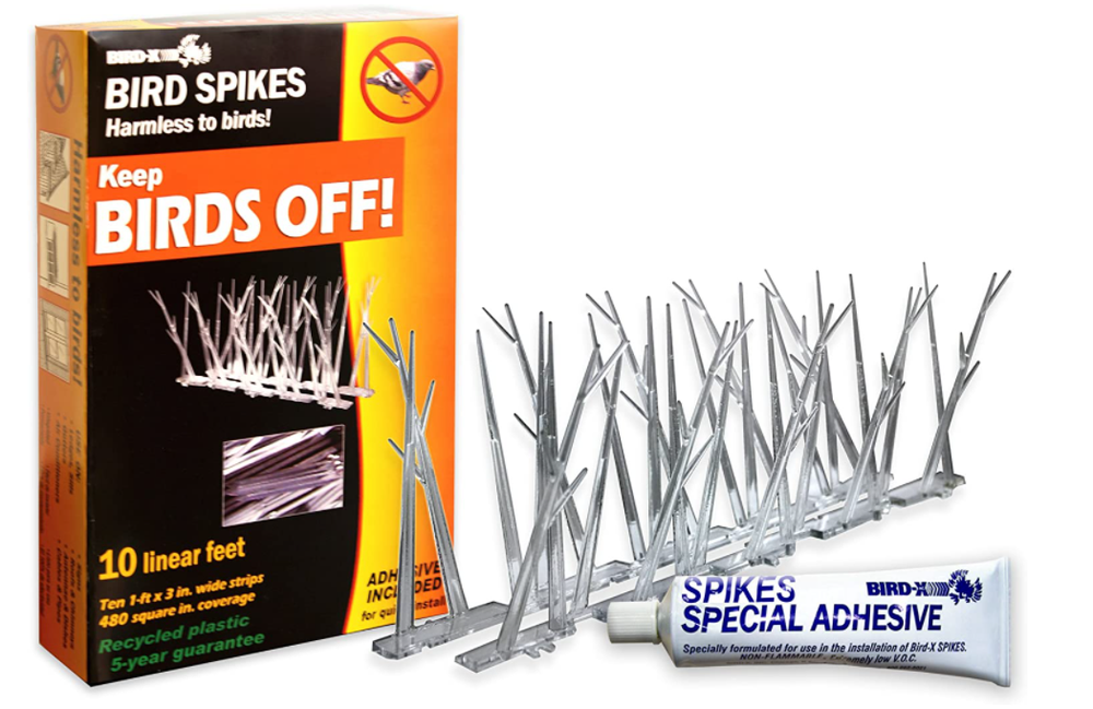 Bird-X Plastic Polycarbonate Bird Spikes Kit Adhesive Glue Covers 10ft Coverage
