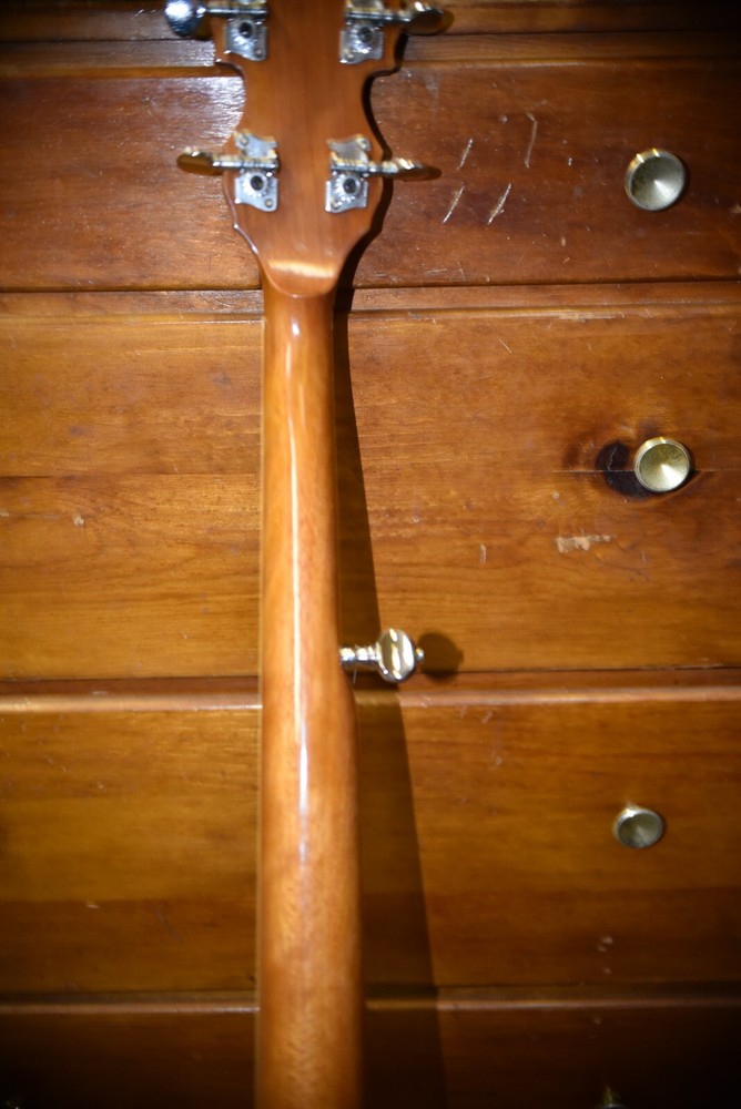 washburn 5 string banjo