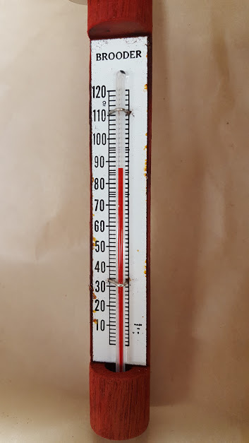 Vintage Wooden Brooder thermometer MADE IN THE USA