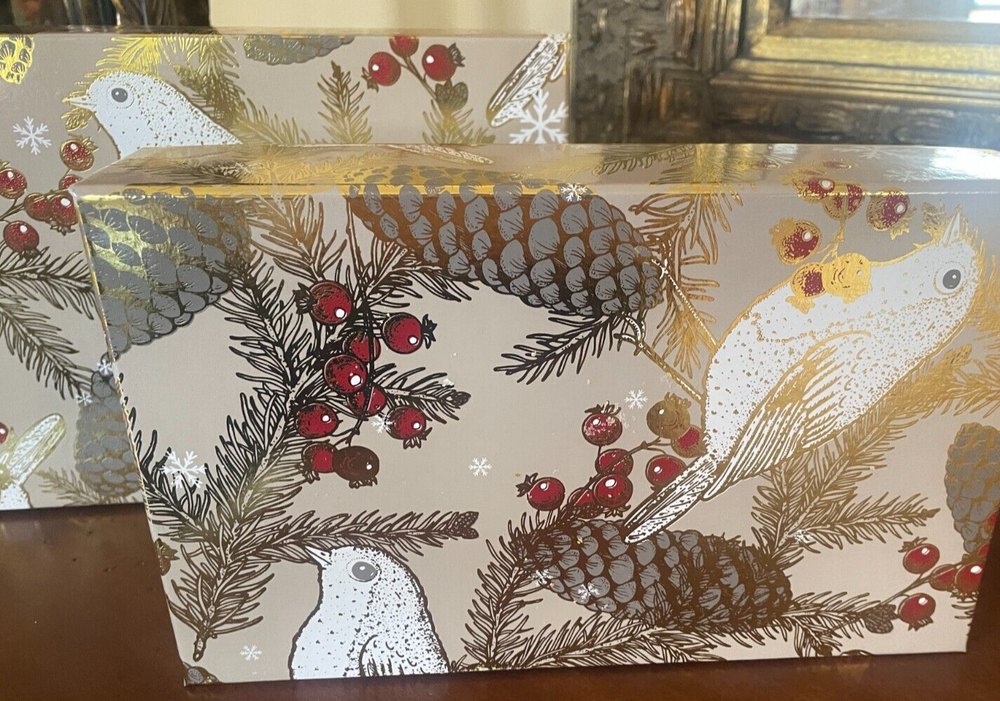 The Fruit Company (8) Decorative Gift Boxes Christmas Birds Pinecones EMPTY