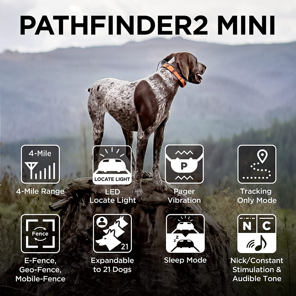 Dogtra Pathfinder 2 Mini Built In GPS Tracking and Training All in One System