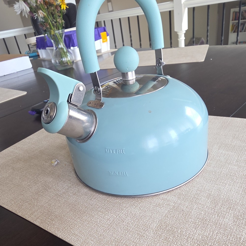 Light Blue Stainless Steel Whistling Kettle with Ergonomic Handle