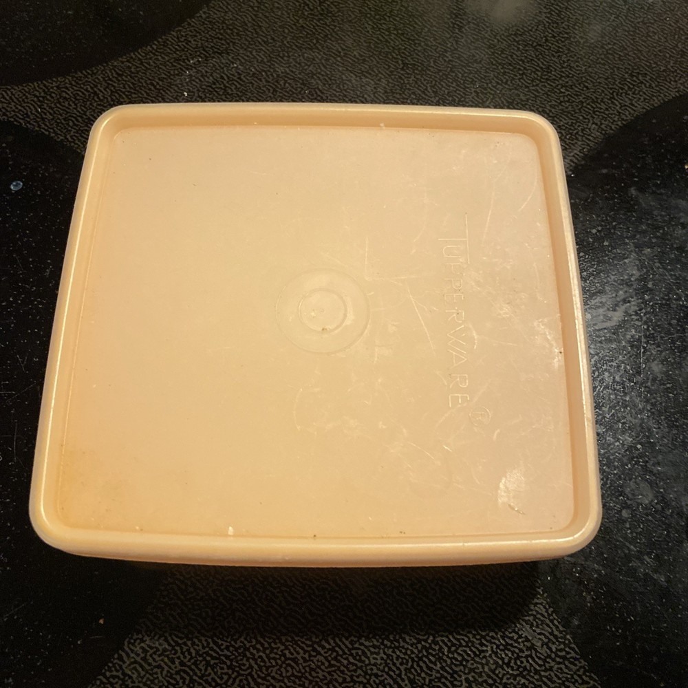 Tupperware Mango/orange Colored Sandwich Keeper