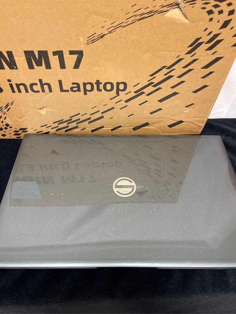 SGIN 17 Inch Laptops Computer, Laptop 1920 * 1080 IPS Display, Intel Celeron Qua
