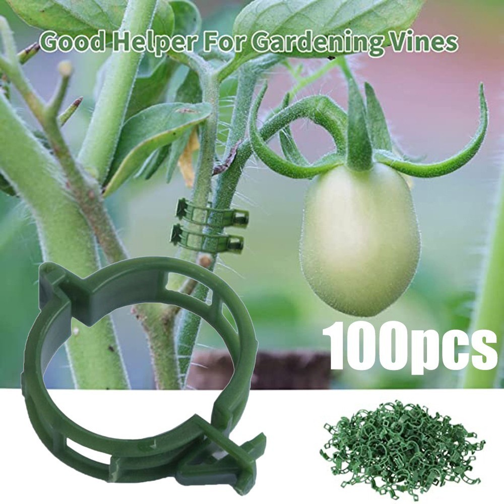 Efficient Solution for Fixing Solanaceous Vegetables Plant Vine Ties 100PCS