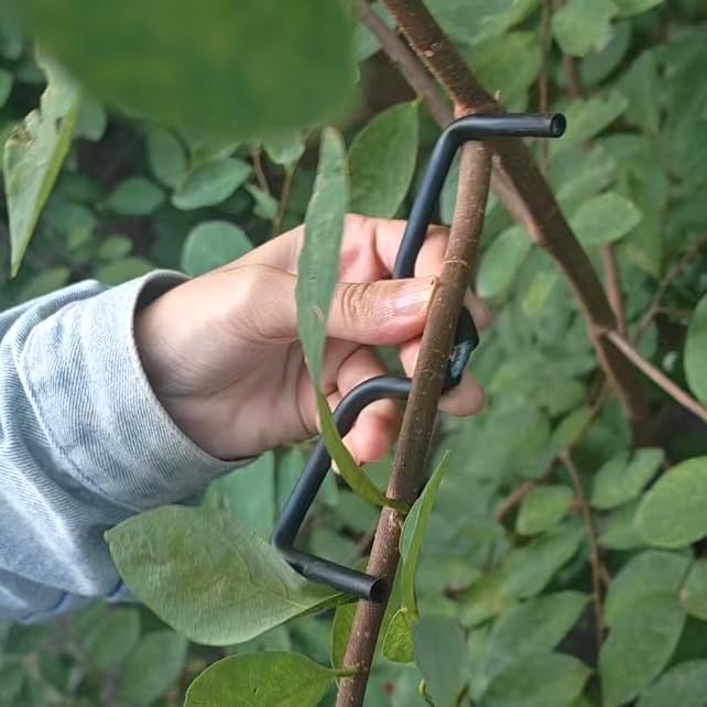 Fruit Tree Limb Spreader 5.1 Inch Plastic Hose Branch Puller Tool 20 PCS