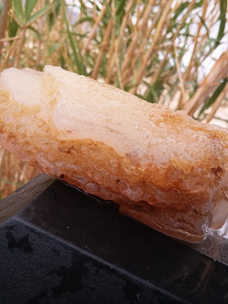 Chalcedony Filling Possible Petrified Would Opalized