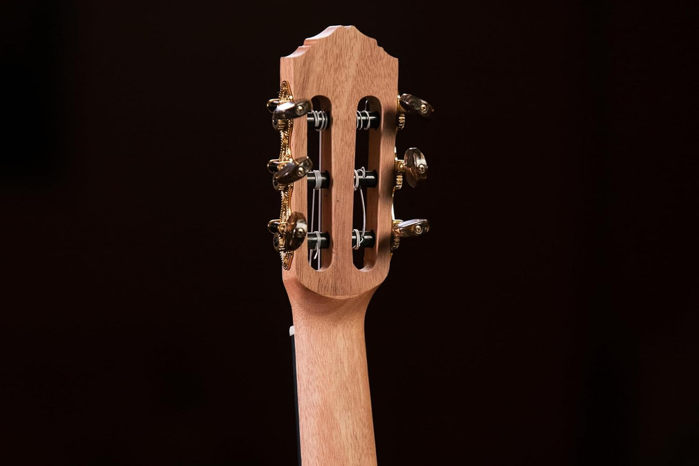 Ortega RGL5EB Guitarlele