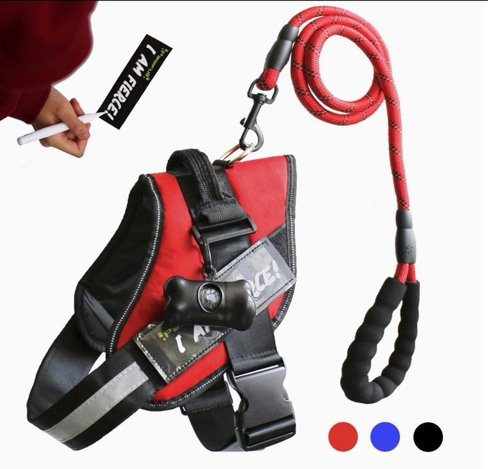 PAWFULL 🐾No Pull Reflective D🐶G Harness KiT | BLACK