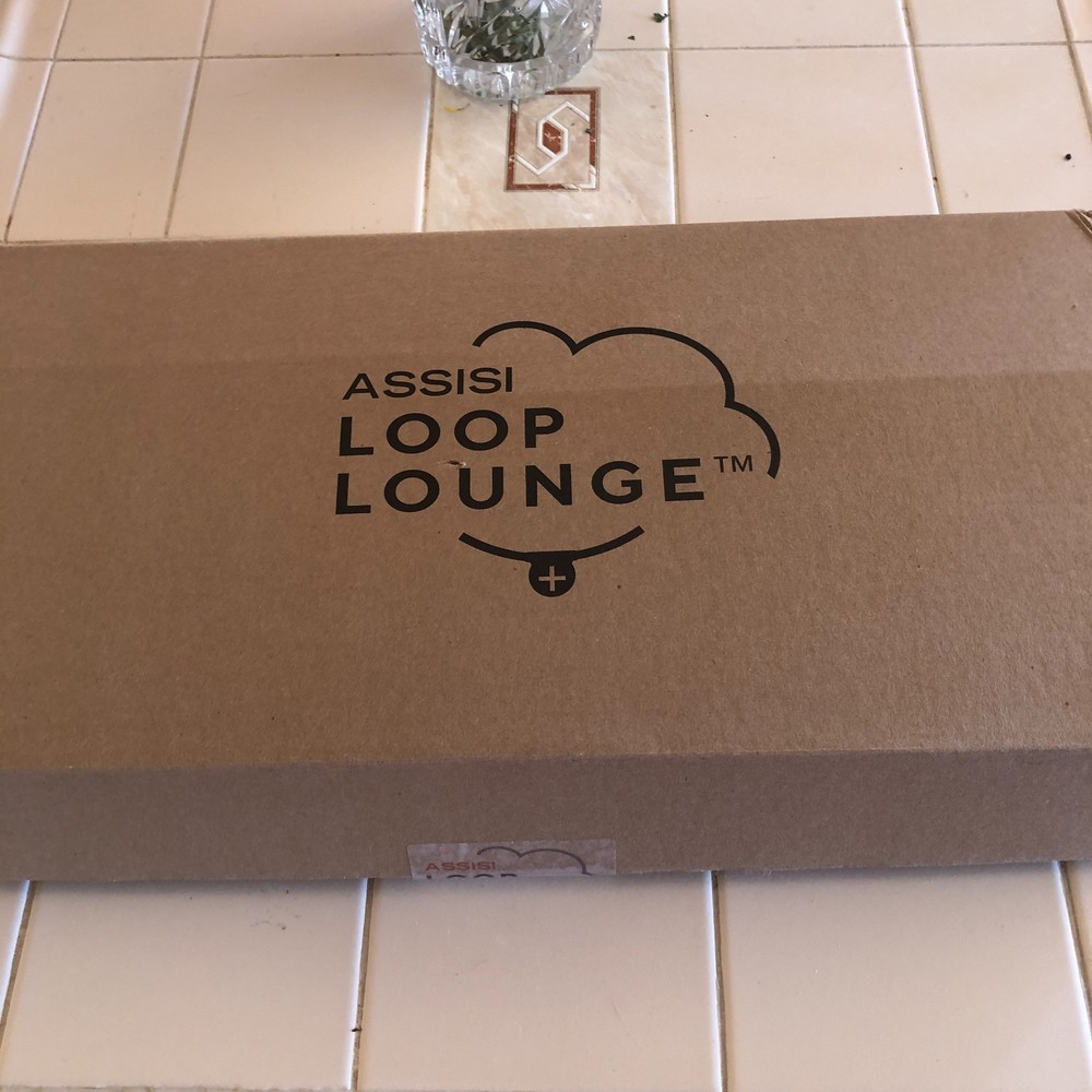 Assisi Loop Lounge Small Therapy Bed Complete System Pad 21"x10.5"