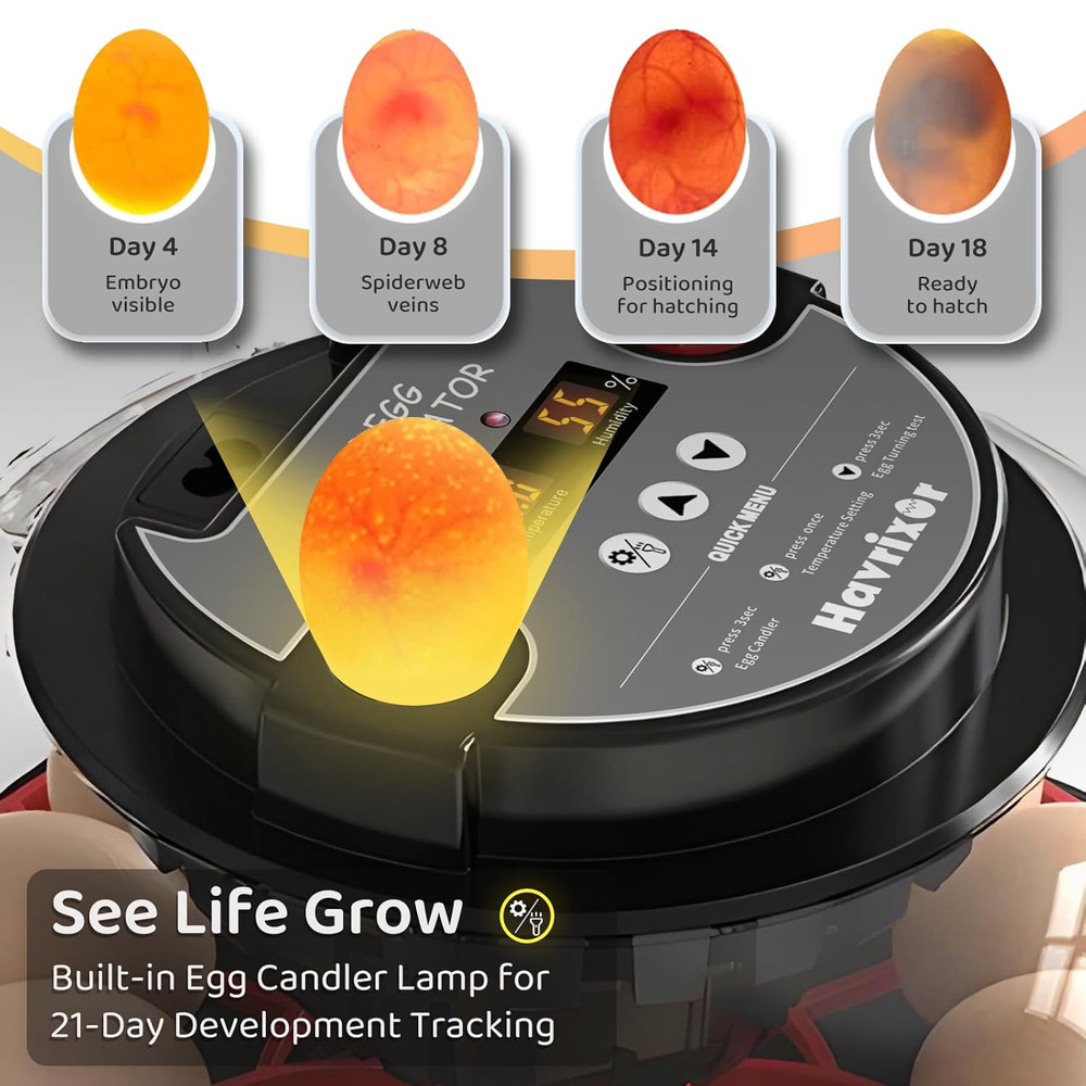 12 Egg Incubator for Hatching Eggs with Fully Automatic Egg Turning, Humidity Co