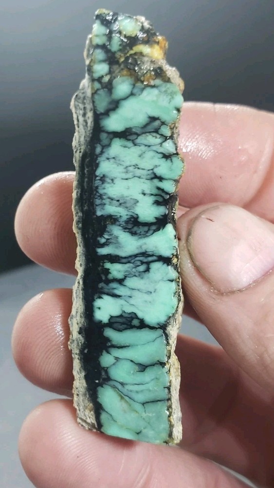 Nevada Saguaro Variscite Slab
