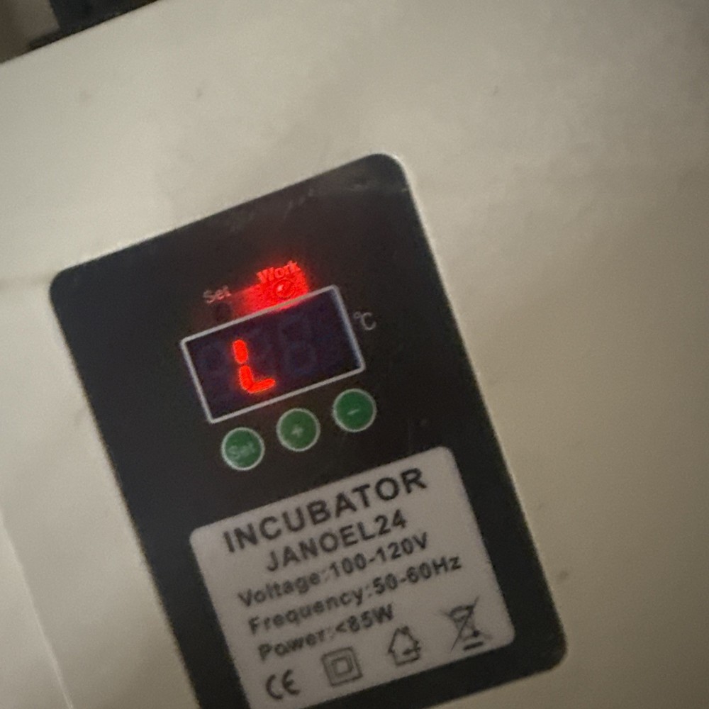 JANOEL24 24 Eggs Digital Control egg Incubators automatic incubator