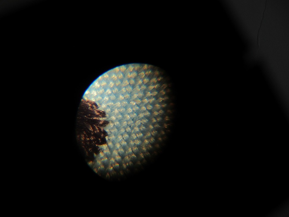 30X Illuminated Pocket Microscope Magnifying Magnifier with Focus Wheel works!