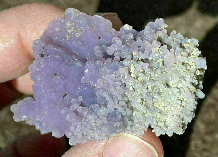~Weird~ Botryoidal Grape Chalcedony Specimen - AKA Mankarra Agate - C9