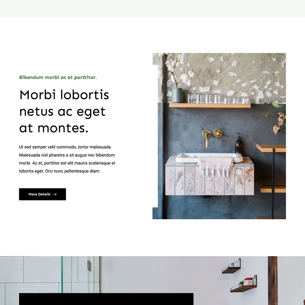 Builder Website Design with Free VPS Web Hosting and Installation