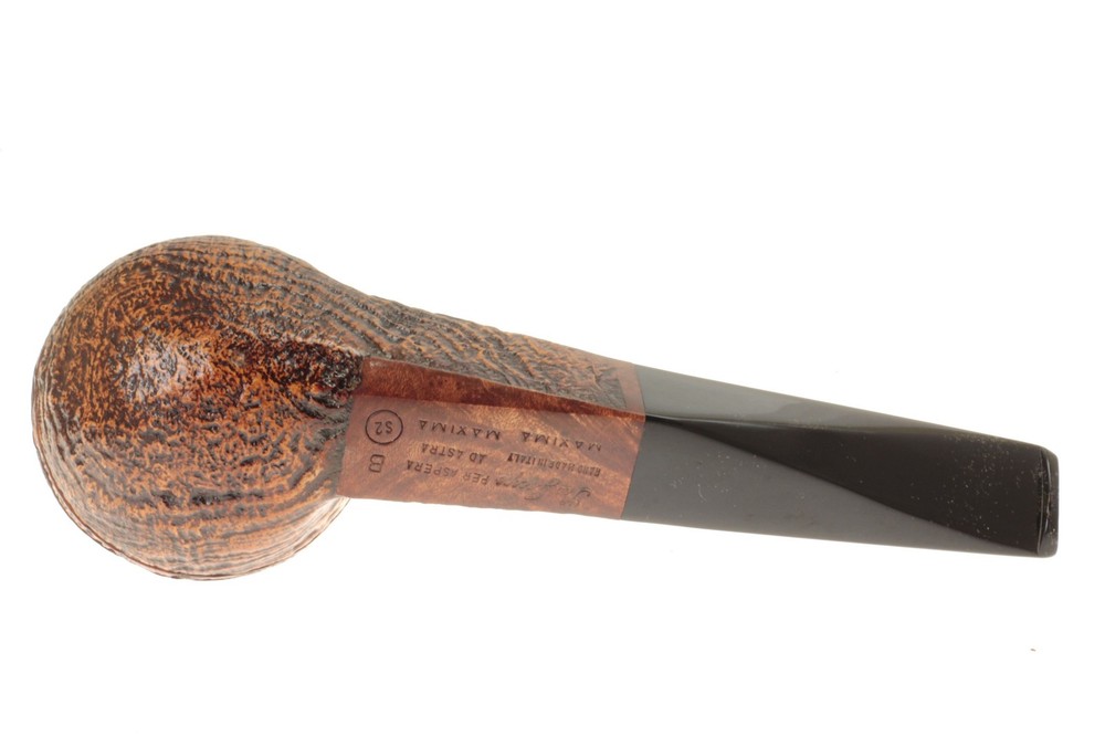 Ser Jacopo S2 (B) Maxima Maxima - Straight Rhodesian