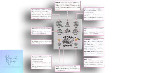 Meris HEDRA 3-Voice Rhythmic Pitch Shifter
