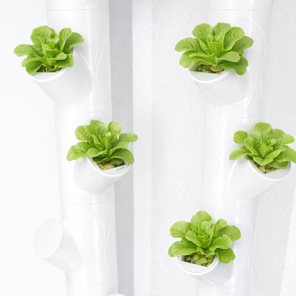 24 Pcs Grow Cubes for Hydroponic System, Grow Cube Hydroponic Cups Compatible wi