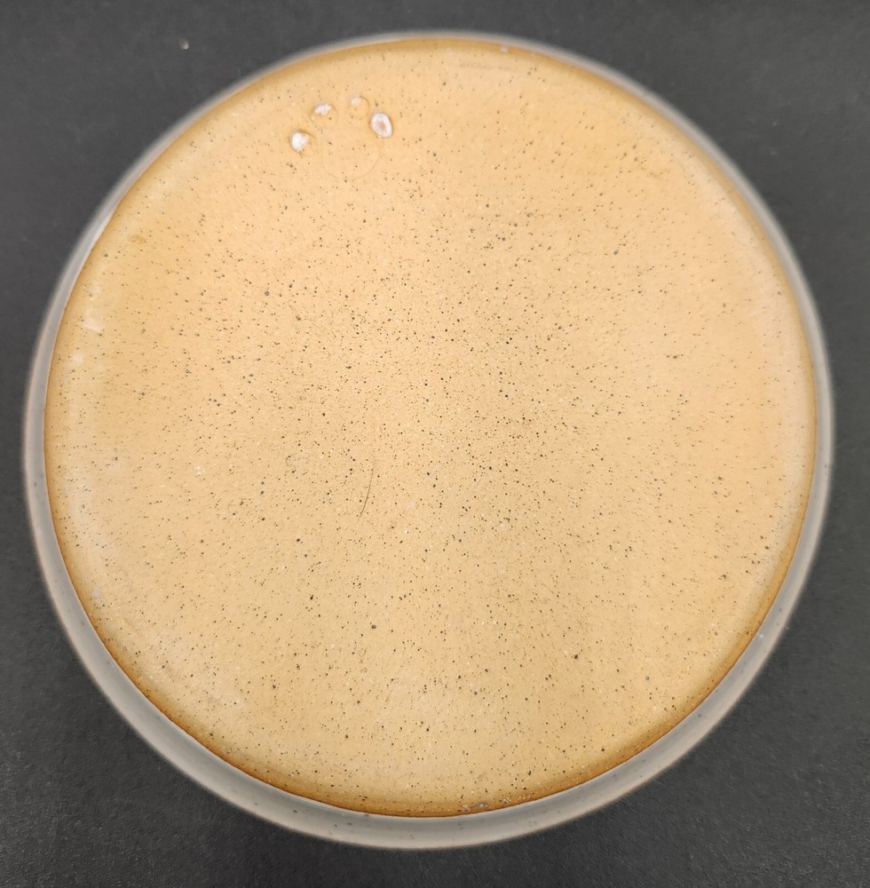 Ceramic Glazed Pet Dish 6.5"