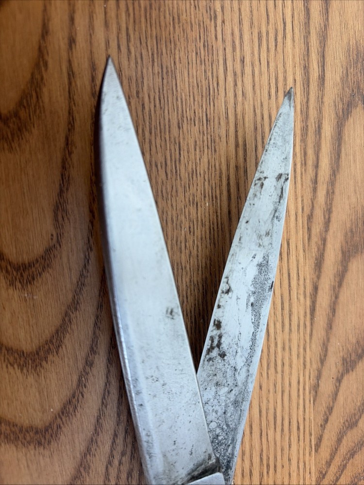 Compton USET Inlaid Upholstery Shears 10”