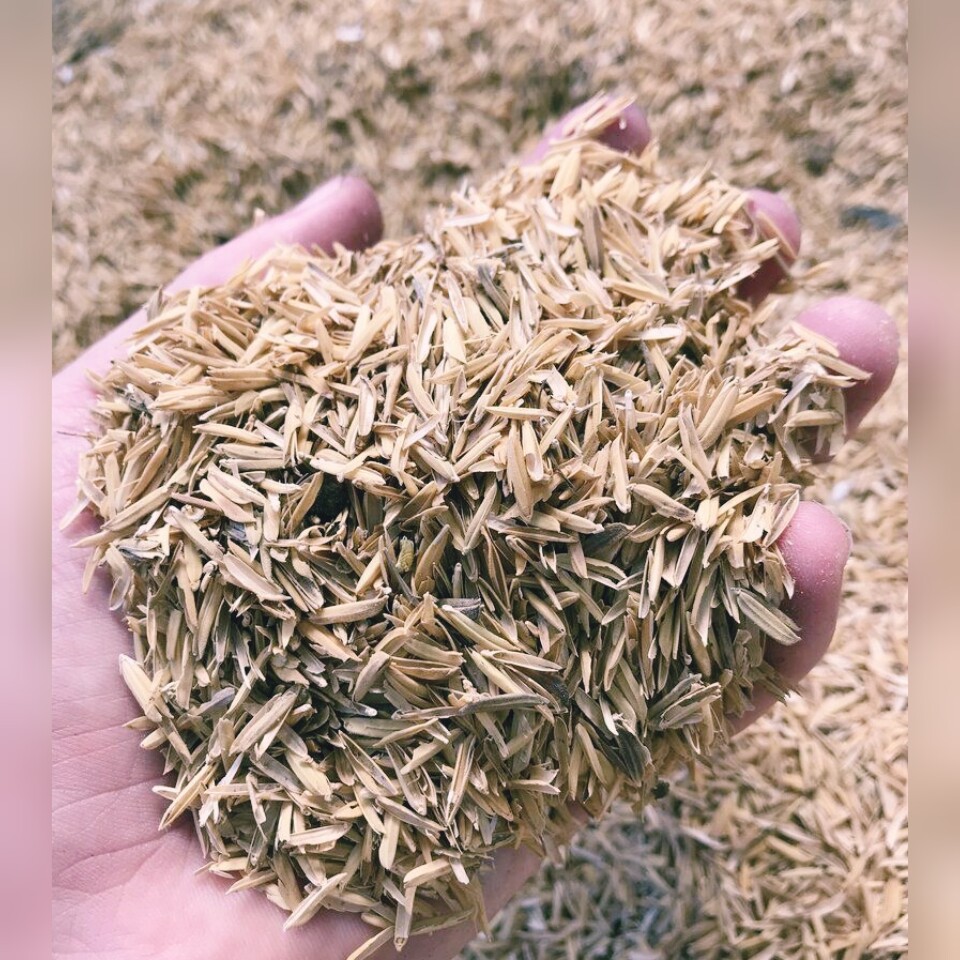 100% Organic Rice Husks Hulls Hydroponic Growing Medium Amendment DryCompost 50g