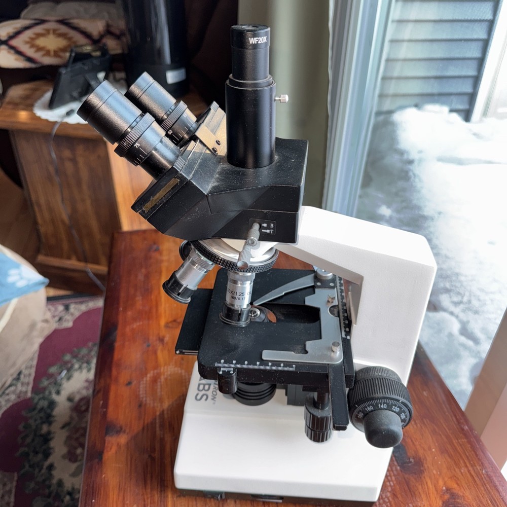 CELESTRON LABS CB2000C Compound Binocular Microscope with 5.5 x 5.5" Mechanical