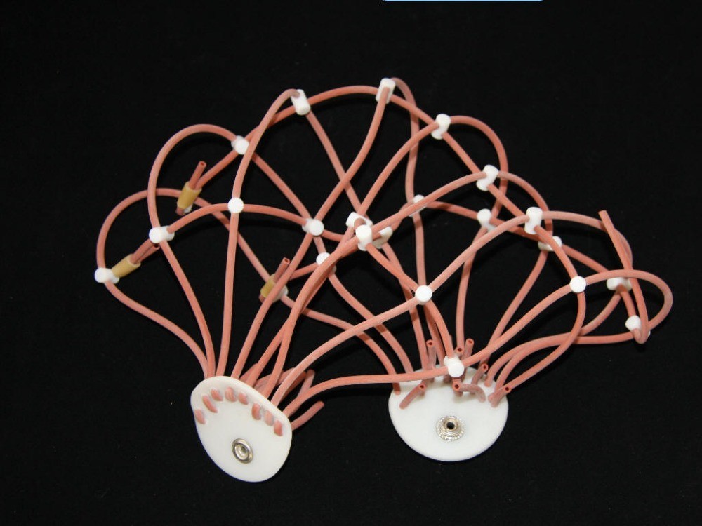 Professional 24-Channel EEG Brain Mapping Software | KT88-2400 System