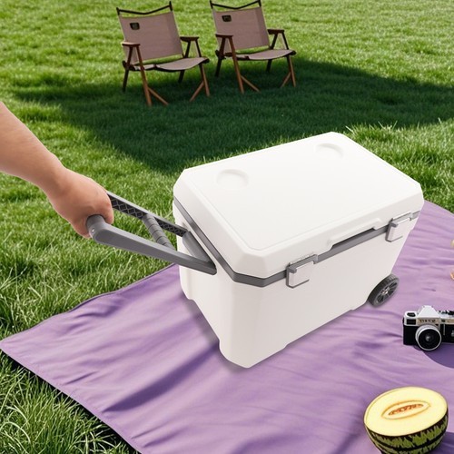 45L Insulated Wheeled Cooler with Pull Handle for Camping & Beach Activities