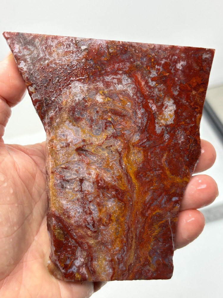 Mexican Red Moss Agate Slabs Lapidary Cabbing Combo Ship Avail