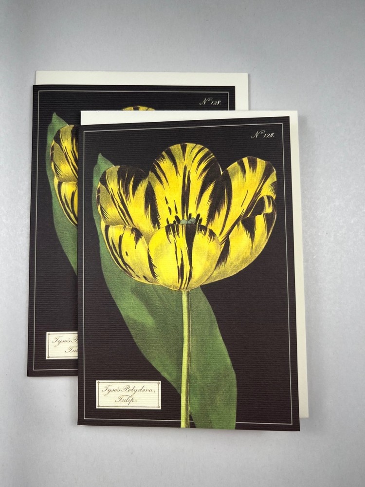 Cavallini & Co. Botanical Boxed Notecards, Assorted