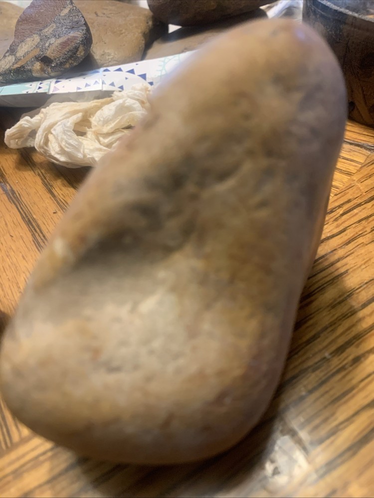 Fossils
