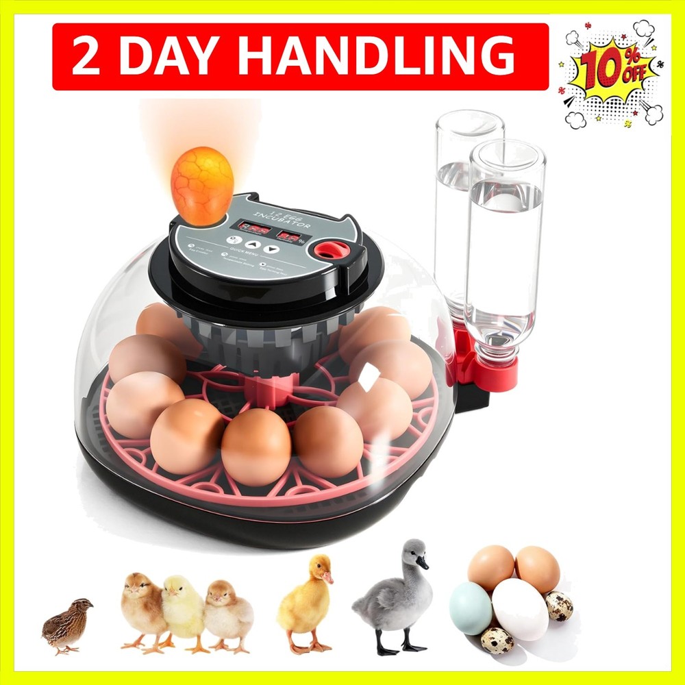 Incubators for Hatching Eggs - 12 Egg Capacity, Egg Incubator with Automatic ...