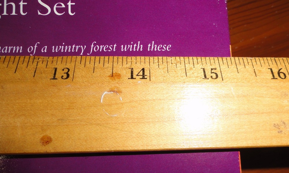 Frosted Pinecone 20’String Lights ~ Christmas Tree ~ Camping Multipurpose 2