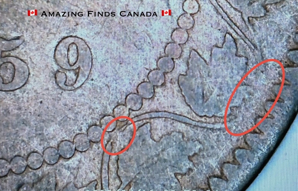 Error - Rotated Die Broken Stems and Vines Error - 1859 Canada Large Cent Coin