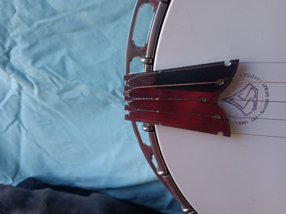 Deering Golden Era Banjo