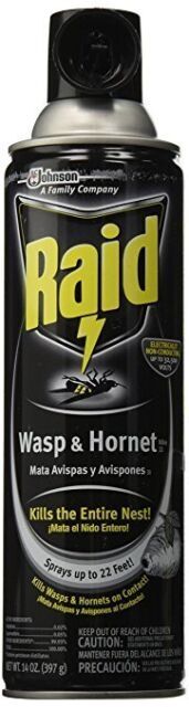 Raid 14 oz Wasp and Hornet Killer