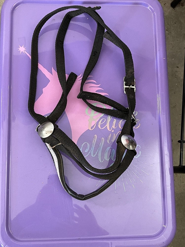 horse bridle western