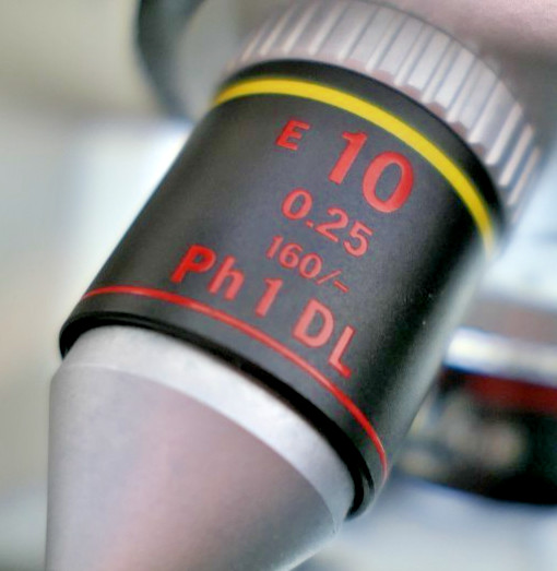 Nikon TMS Inverted Phase Contrast Binocular Microscope not turning on