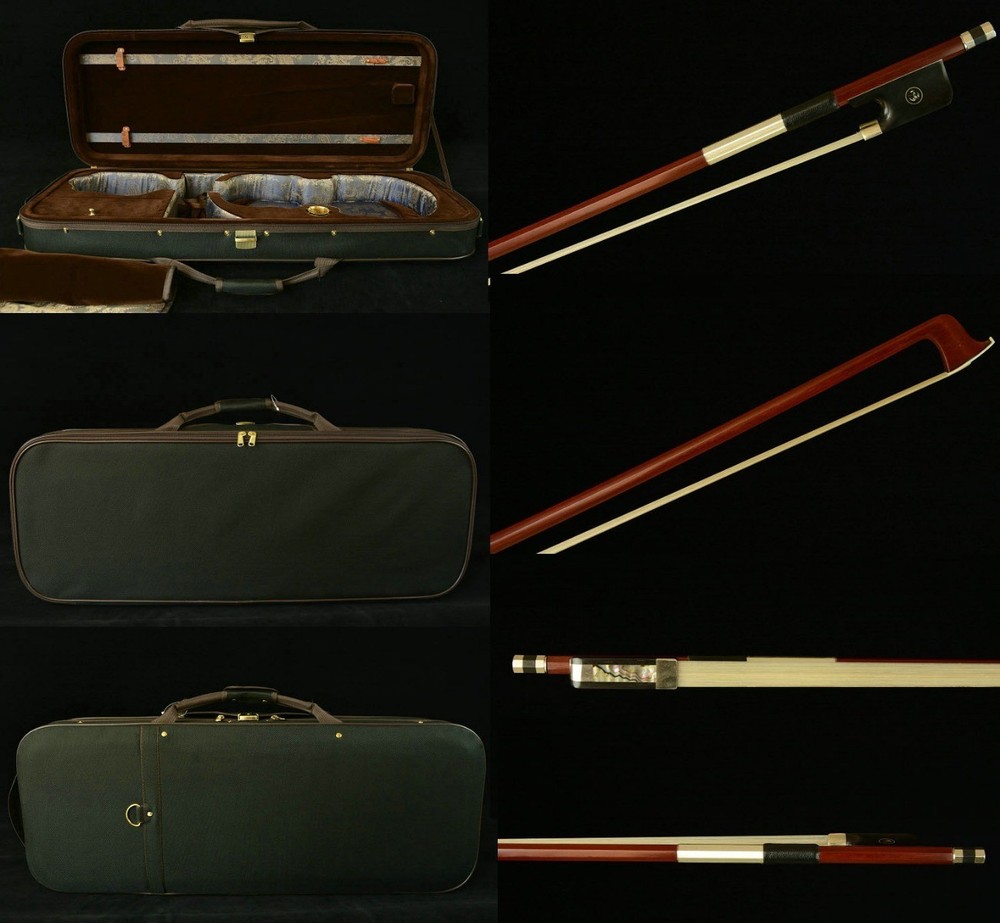 Outstanding Sounding 16' Viola Master Wang's Owrn Work No. W4