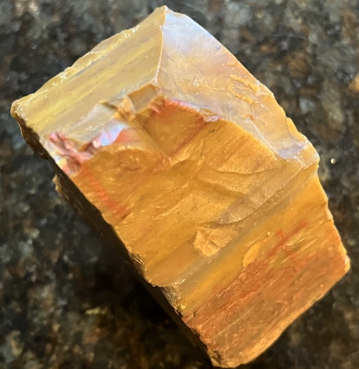 petrified wood rough