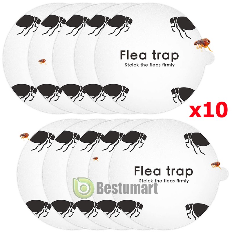 Lots Disposable Flea Trap Sticker Sticky Bug Flea Trap Refill Flea Glue Discs