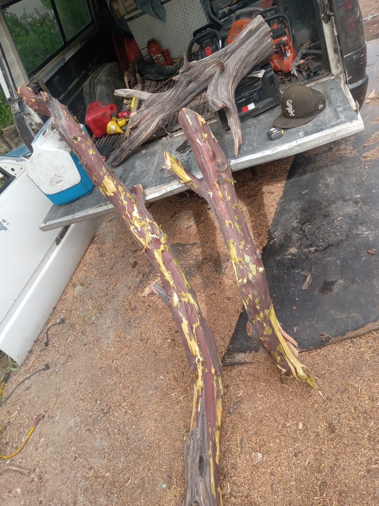 manzanita wood